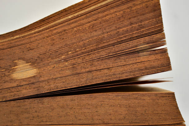 close up brown old book isolated on white background, vintage style
