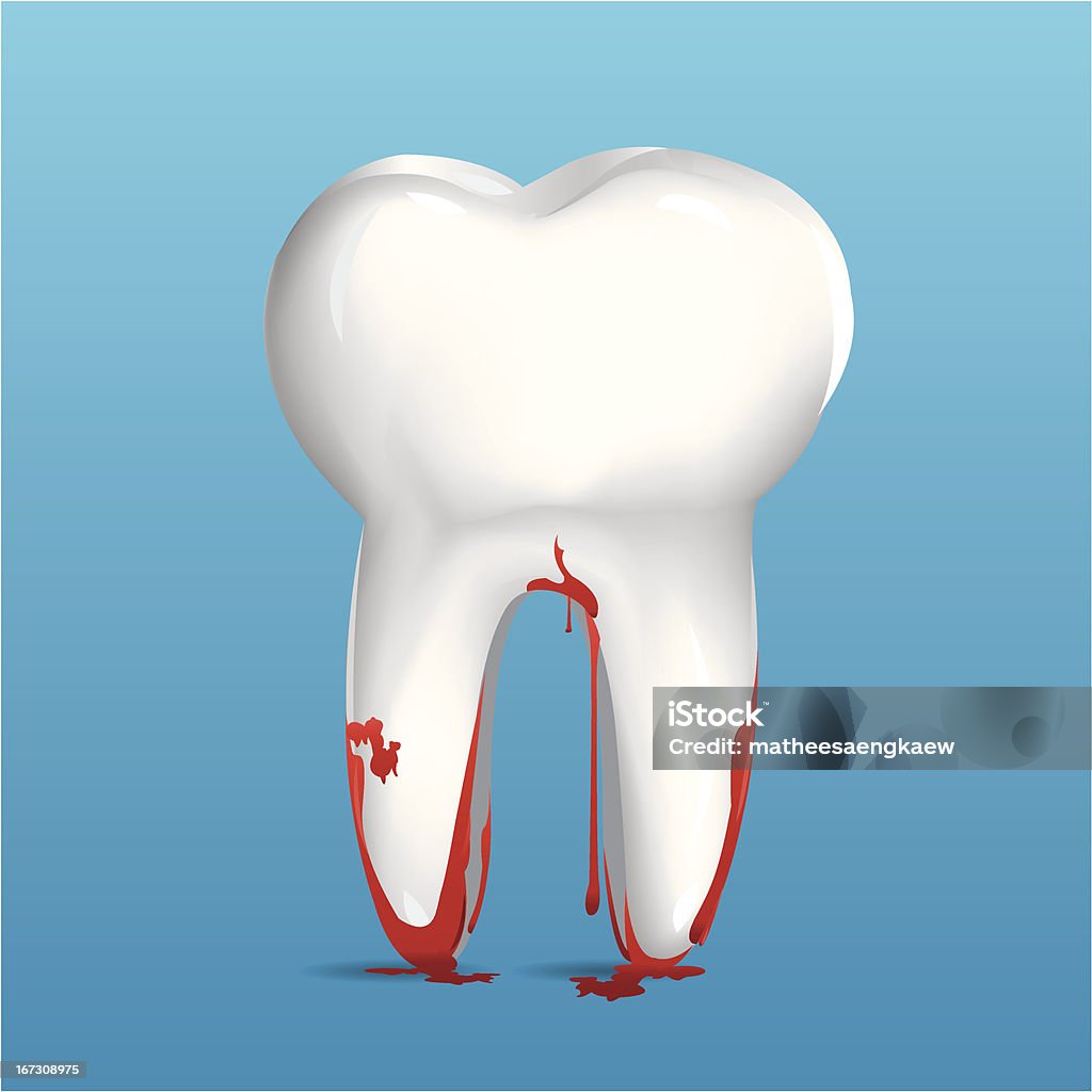 Dente - Vetor de Anatomia royalty-free