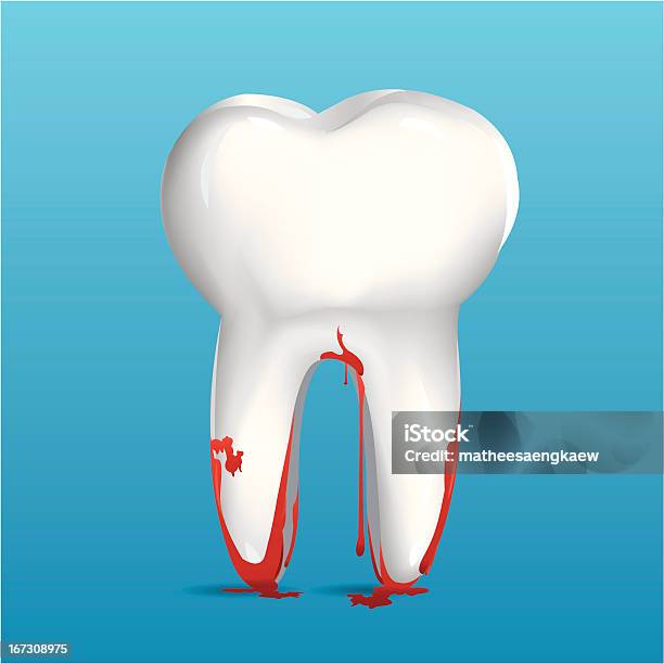 Vetores de Dente e mais imagens de Anatomia - Anatomia, Branco, Clip Art