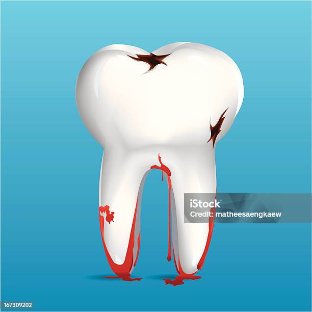 Tooth Stock Vektor Art und mehr Bilder von Anatomie - Anatomie, Blut, ClipArt