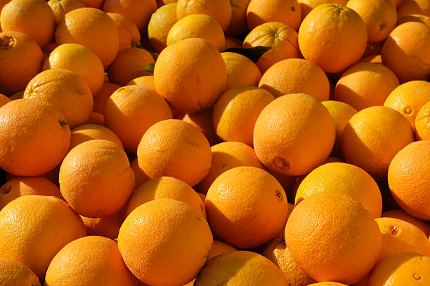 Navel Oranges in Shipping Crate Close-up of just harvesred navel oranges in shipping crates, ready for processing. navel orange photos stock pictures, royalty-free photos & images