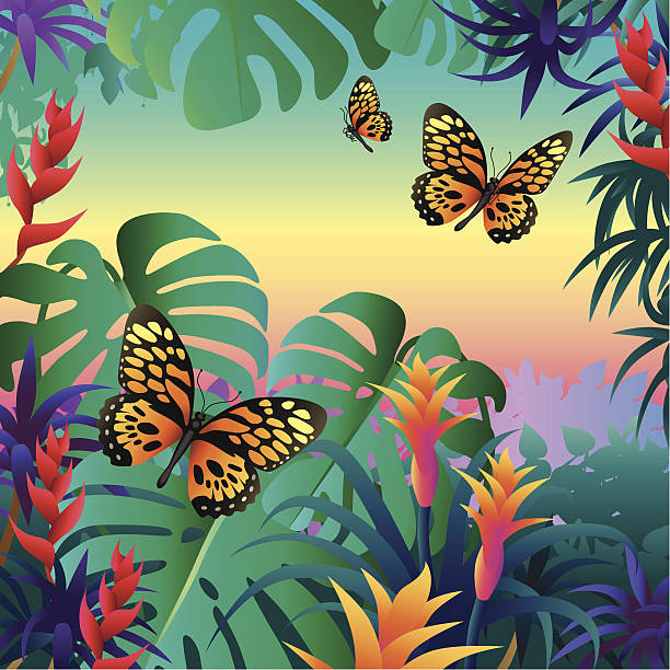 illustrazioni stock, clip art, cartoni animati e icone di tendenza di foresta pluviale farfalle - papilio zagreus