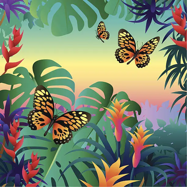 Vector illustration of rainforest butterflies