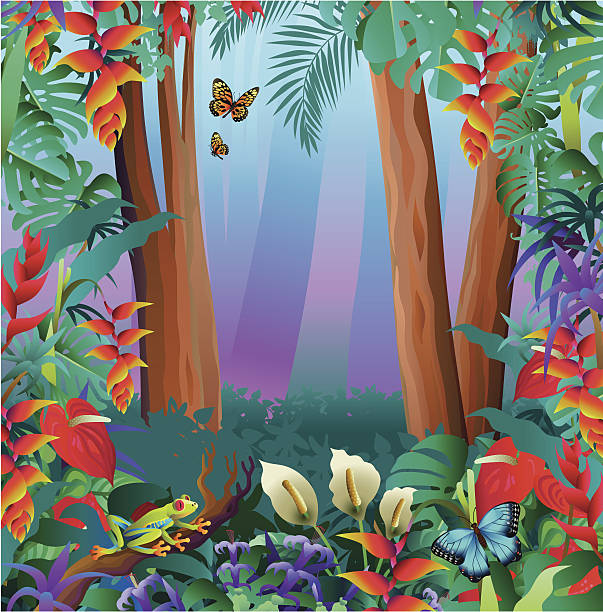 illustrazioni stock, clip art, cartoni animati e icone di tendenza di rana di albero di farfalle e la foresta pluviale - papilio zagreus