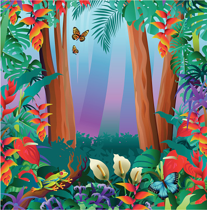 A vector illustration of a red-eyed tree frog and tropical butterflies in the Amazon rainforest. The orange butterfly is papilio zagreus,  butterfly and the blue one is a morpho butterfly.