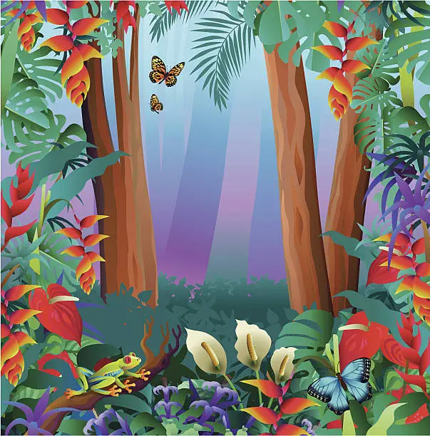 Vector illustration of tree frog and butterflies in the rainforest