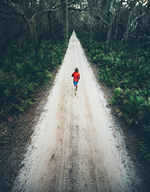 Solitary male runs under trees on road at sunset
