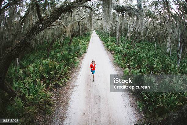 Solitary Männer Läuft Unter Bäumen Auf Straße Bei Sonnenuntergang Stockfoto und mehr Bilder von Insel Cumberland Island