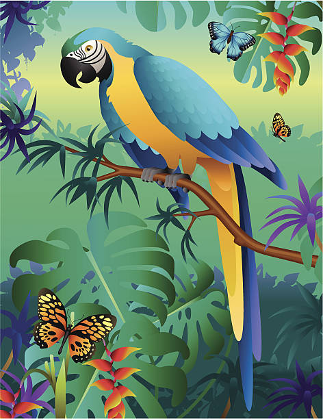 ilustrações, clipart, desenhos animados e ícones de arara-azul e ouro na floresta amazônica - parrot tropical bird gold and blue macaw amazon parrot