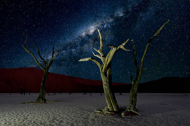 deadvlei y la via láctea - steiner fotografías e imágenes de stock