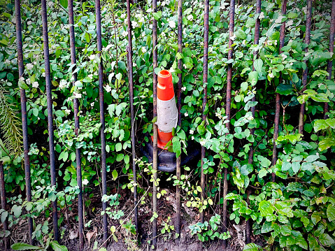 Traffic cone behind railings