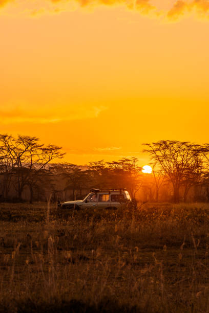 istock Sunset at Lake Nakuru - Kenya 1673181302
