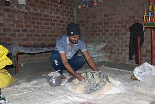 09-12-2021 Indore, Madhya Pradesh, India. Indian farmer mixing different fertilizer elements in manure, at home. selective focus