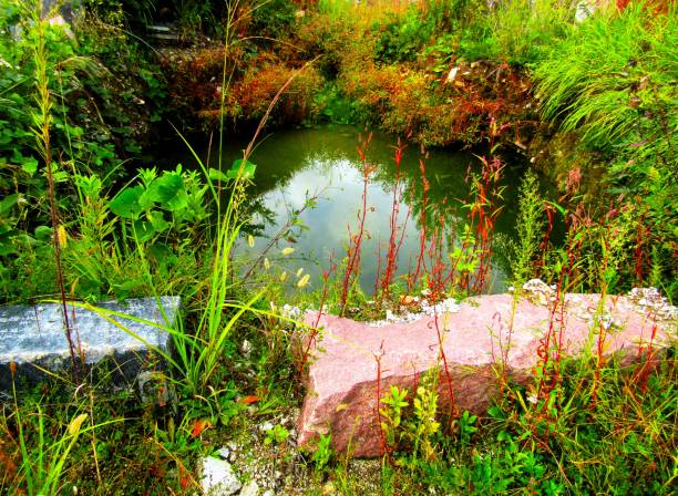 istock Japan. October. Small lake in the mountains. 1673203556