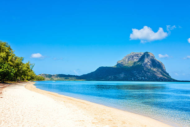 istock Ile aux Benitiers, Mauritius, Africa 167323945