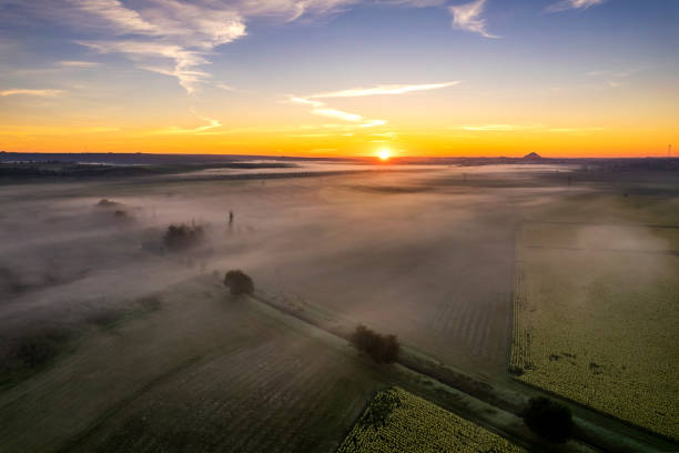 istock Side swaths in a field in the morning hours shortly after sunrise 1673247603