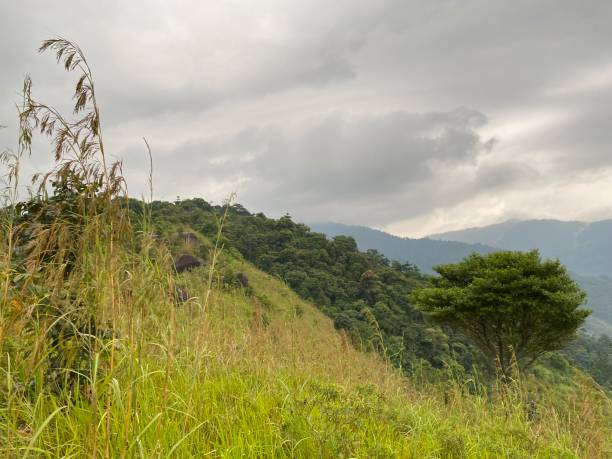 istock natural hills in Malaysia broga hill. 1673260335