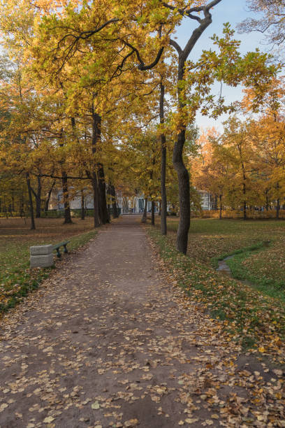 istock Pathway inside grand park at autumn day 1673266308