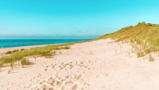 istock Sylt island beach under a blue sky on a sunny day 1673267789