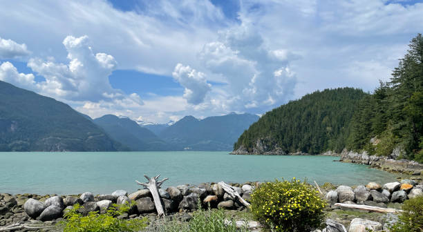 istock Oliver's Landing Beach in Furry Creek 1673273202