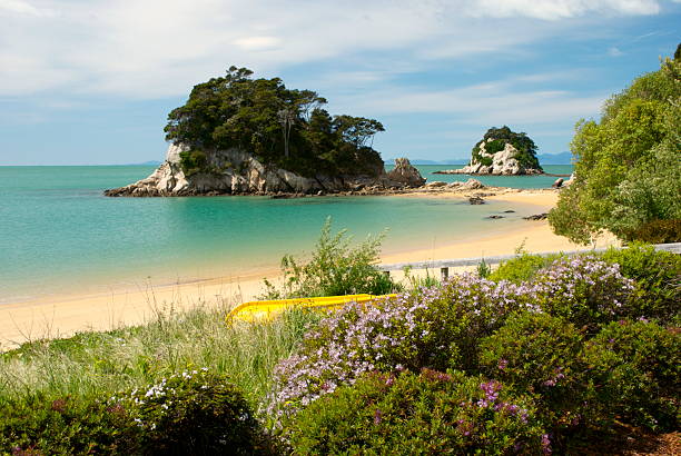 torlesse rock, kaiteriteri, tasman region, nowa zelandia - abel tasman national park zdjęcia i obrazy z banku zdjęć