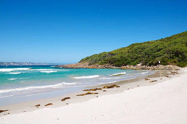 istock Beautiful Deserted Beach in Denmark, Western Australia 167330840