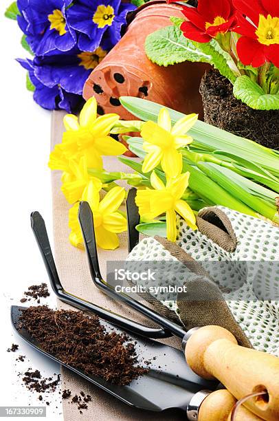 Foto de Ferramentas De Jardim E Flores Coloridas e mais fotos de stock de Agricultura - Agricultura, Amarelo, Ancinho - Equipamento de jardinagem