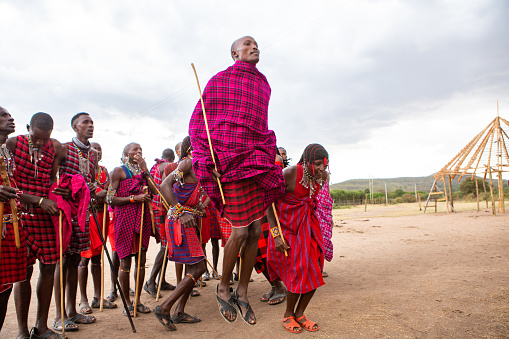 Masai in traditional colorful clothing showing Maasai jumping dance at local tribe village near famous Safari travel destination. Kenya. Editorial