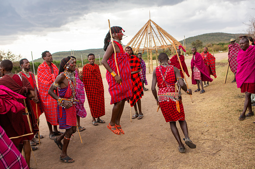 Masai in traditional colorful clothing showing Maasai jumping dance at local tribe village near famous Safari travel destination. Kenya. Editorial