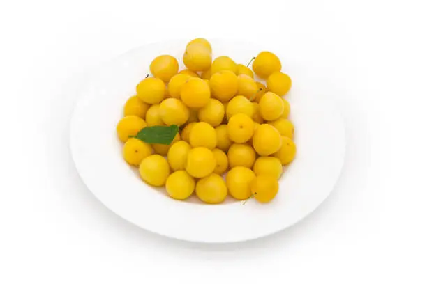 Freshly harvested yellow cherry plums on a white dish on a white background
