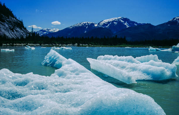 glacier lake - montana us glacier national park usa glacier imagens e fotografias de stock