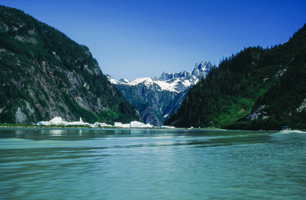 glacier lake - montana us glacier national park usa glacier imagens e fotografias de stock