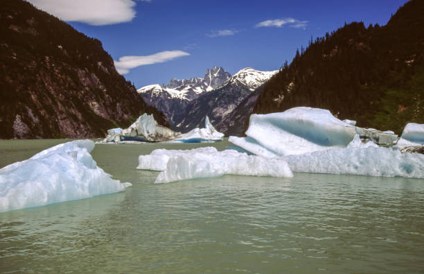 glacier lake - montana us glacier national park usa glacier imagens e fotografias de stock