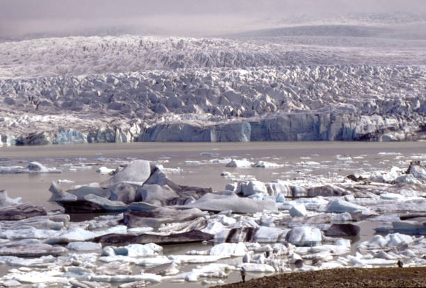 icebergs - terminus - montana us glacier national park usa glacier imagens e fotografias de stock