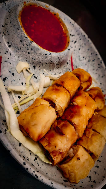istock Asian Fusion Feast: Spring Roll with Mouthwatering Momos Chutney 1673352986