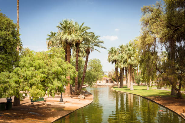 istock Park with palm tree in Phoenix - Arizona 167336416