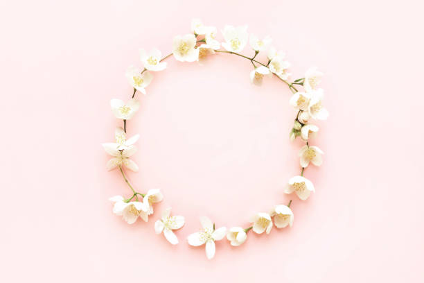 istock floral frame of jasmine 1673386083