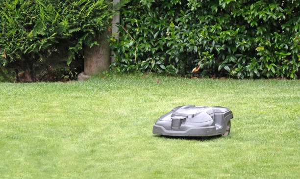 istock Robot lawnmower mowing the green grass 1673425422