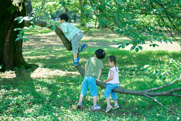 istock Children playing and climbing trees 1673438690