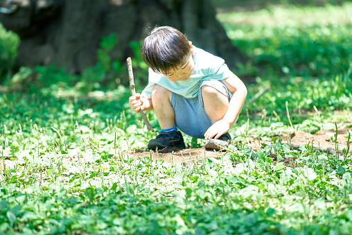 Young white girl and boy dig in the dirt of a garden for potatoes, which the girl is holding.  She is barefoot.  Copy space
