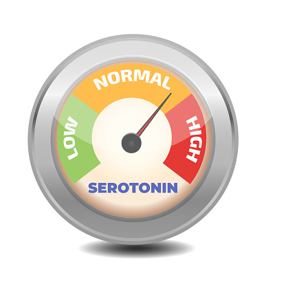 Serotonin Level Test Serotonin Level Meter Vector Illustration Stock Illustration - Download ...