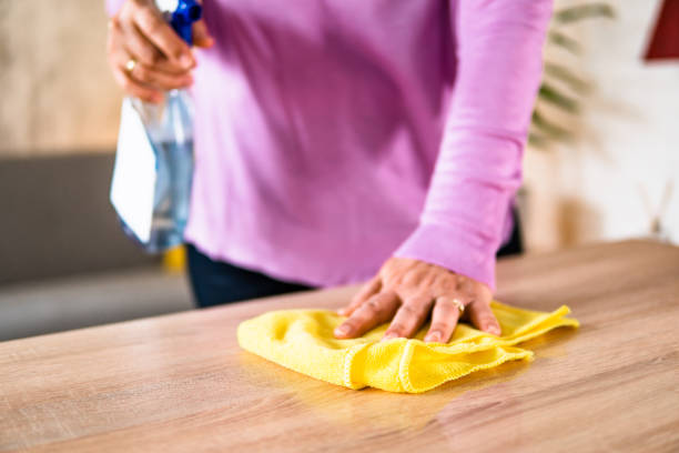 istock Woman cleaning her home 1673484279