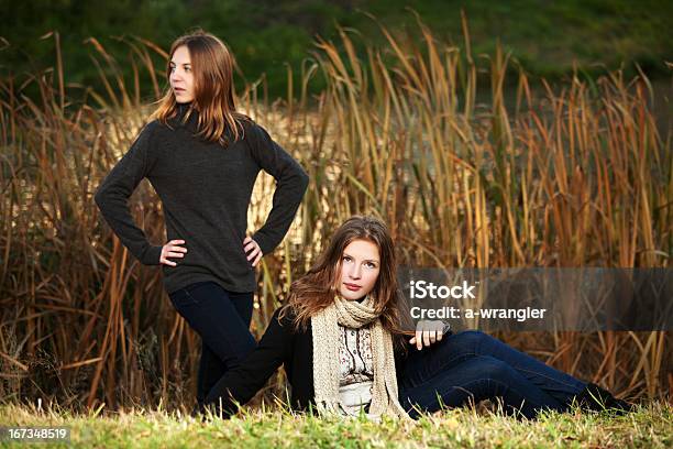 Jovens Raparigas Em Um Parque De Outono - Fotografias de stock e mais imagens de 14-15 Anos - 14-15 Anos, Adolescente, Adolescência