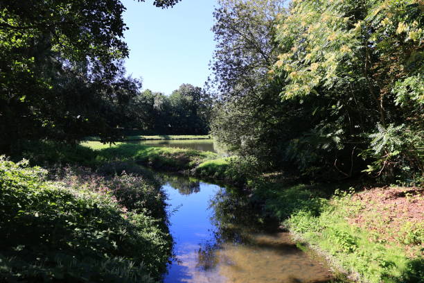 istock Midsummer in Werne in North Rhine-Westphalia 1673488624