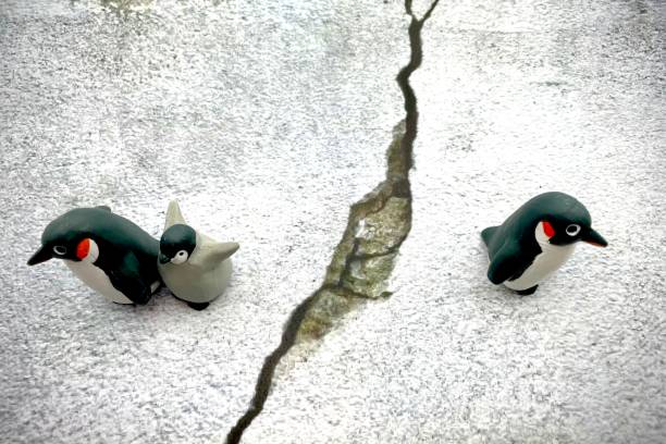 Children who follow one parent Children who follow one parent after divorce penguins fighting stock pictures, royalty-free photos & images