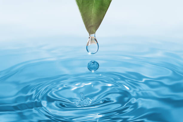 istock A water droplet falling into a tranquil body of water, creating ripples and splashes 1673492675