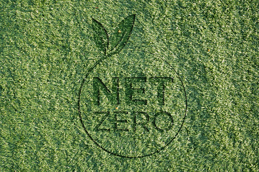artificial grass or carpet with synthetic grass. photos for the concept of net zero