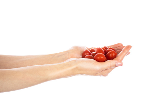 Cherry tomato in woman hand isolated on white background. High quality photo