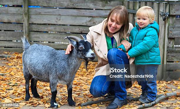 Photo libre de droit de Famille Avec Chèvre banque d'images et plus d'images libres de droit de 12-17 mois - 12-17 mois, Adulte, Animaux de compagnie