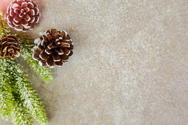 istock Fir branch with pine cones on snow grey background with copy space top view 1673552211